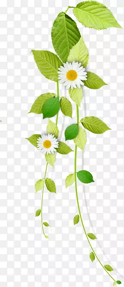 �ɰ�Ψ�����»���С��-������