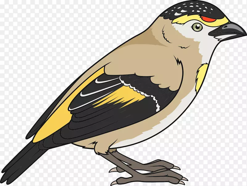 ʸ����֦�뿨ͨ�ɰ�С��-������