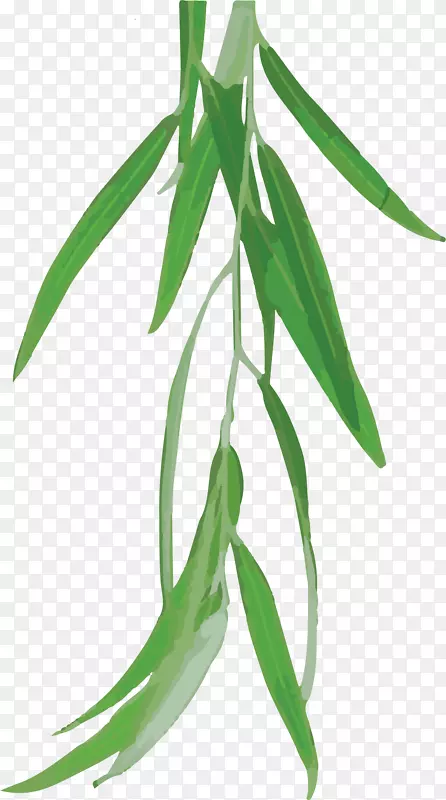 ��ͨ��Ҷ����װ��ͼ��-������