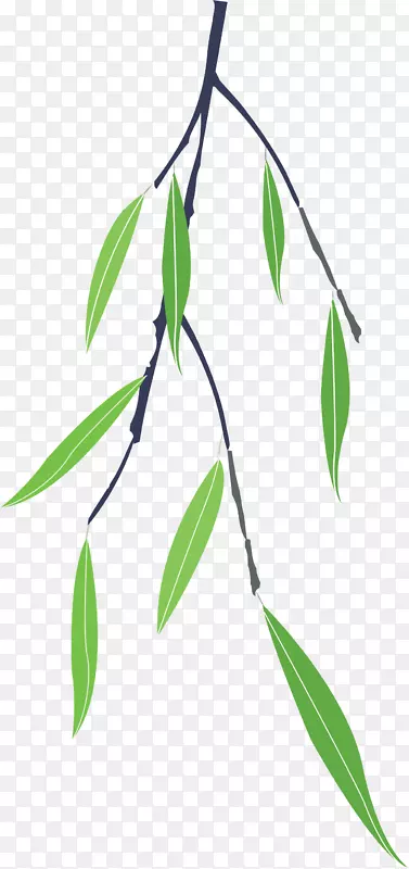 ��ͨ�ļ���Ҷװ��ͼ��-������