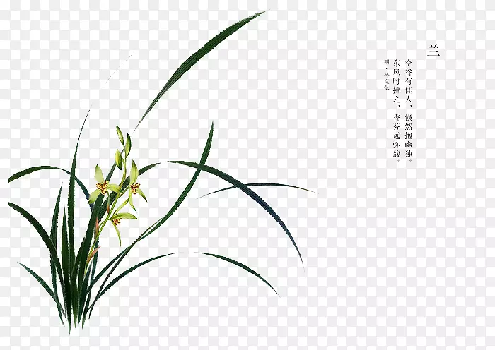 �ֻ滨��-������