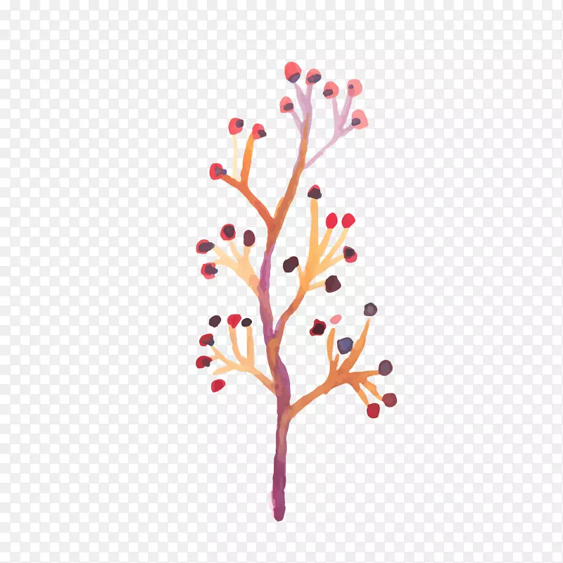 ��ɫ��ֲ֦��ʸ��ͼ-������