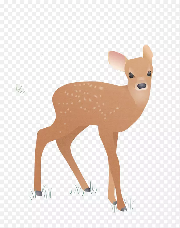 ��ͨ÷��¹-������