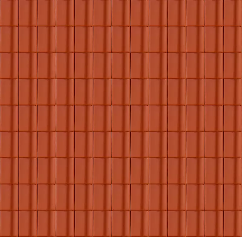 ��ɫ�����ݶ�����-������