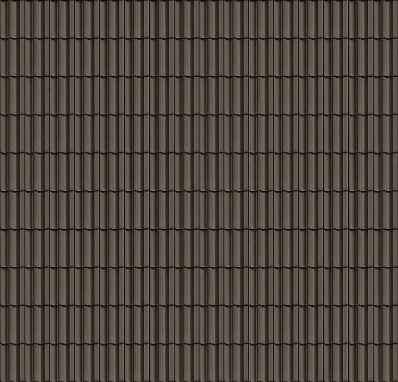 ��ɫ�ݶ�����-������