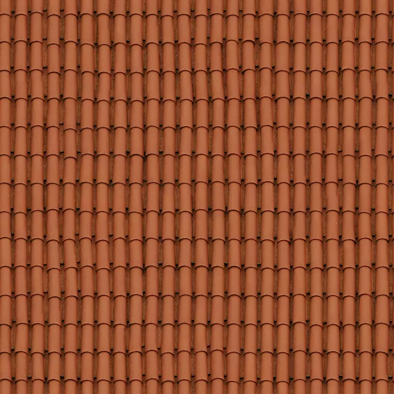 ��ɫ�����ݶ�����-������