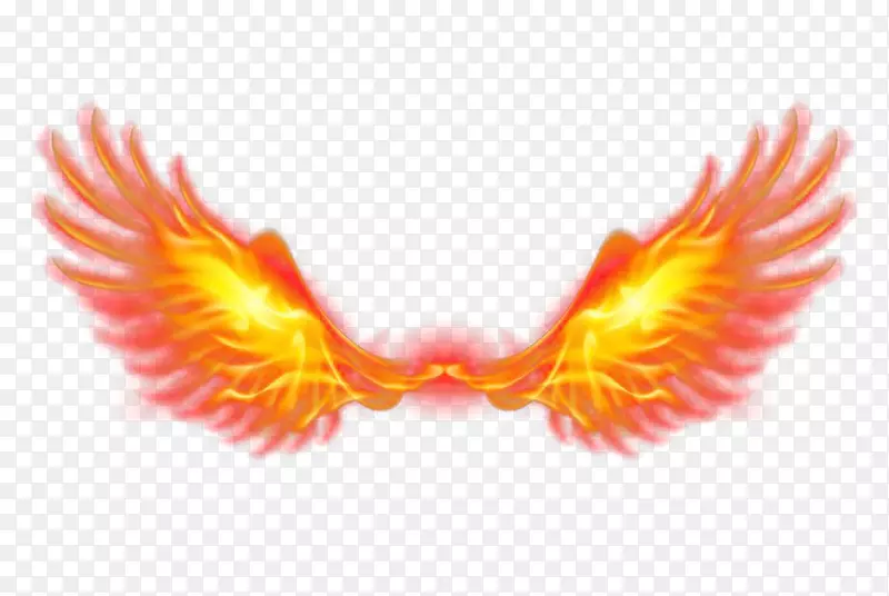 �������ɫ��ɫ�ſ�-������