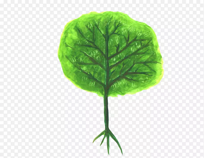 ��ɫ����С��������-������