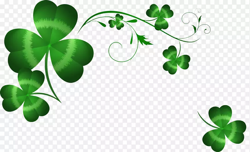 ���˲��ز�-������