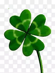 ��Ҷ��-������