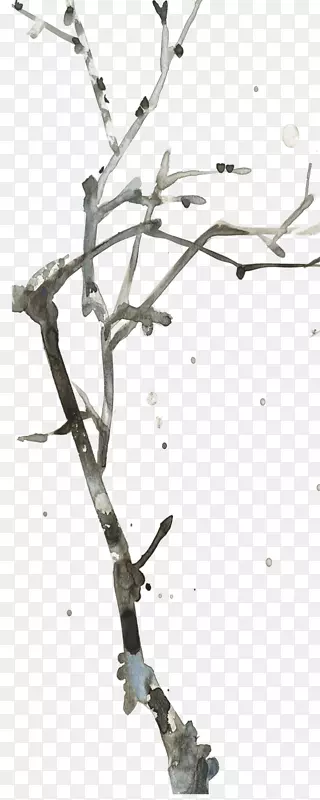 ˮī����֦-������