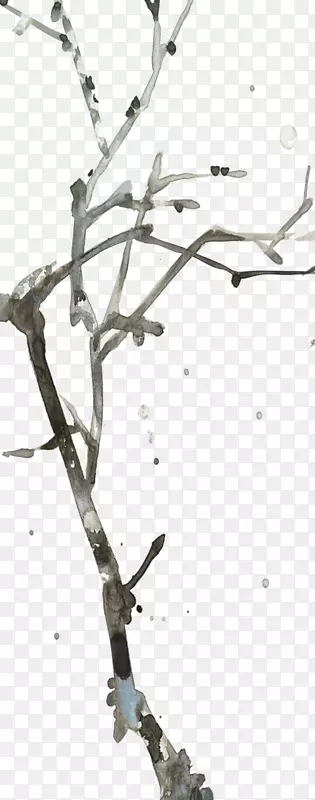 ��֦-������