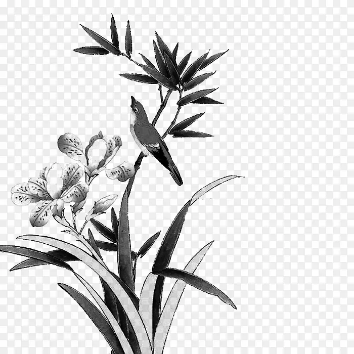 ˮī��-������