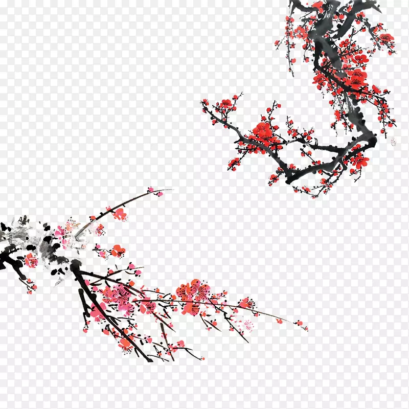 ��ɫ÷��-������