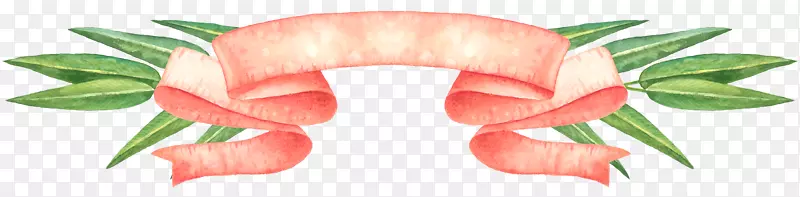 �ֻ�߿�-������