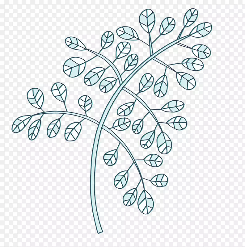 ��ʻ���ɫ��ͨ��Ҷ��֦-������