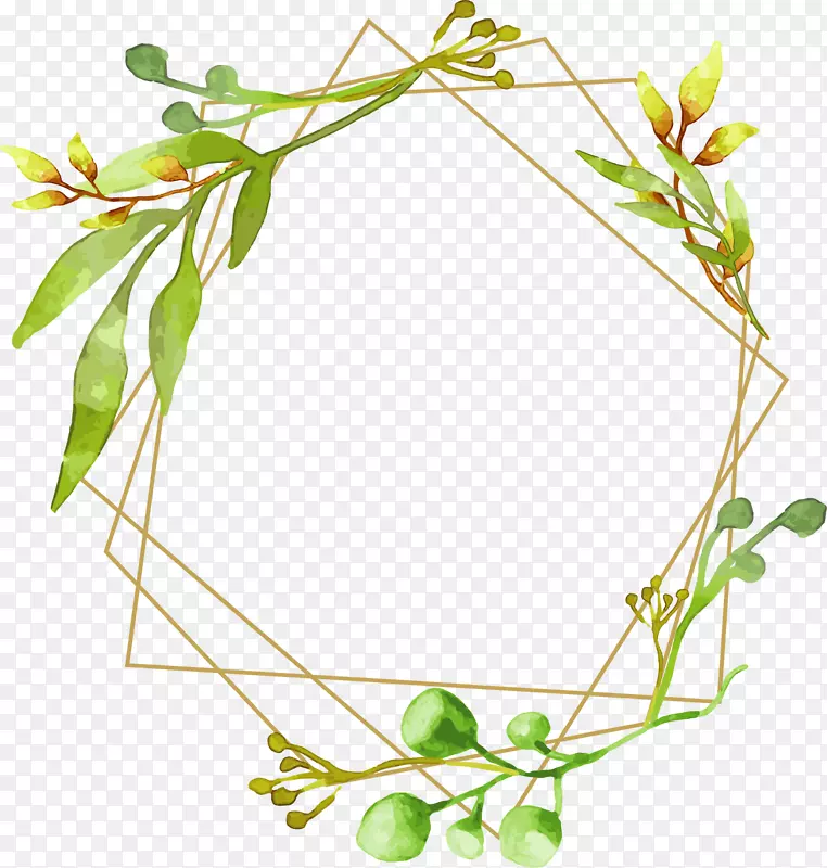 �ֻ���֦�����߿�-������