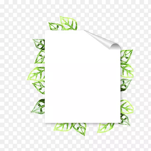 ��Ҷ�׵׷��߾��β�Ʒ�߿�-������