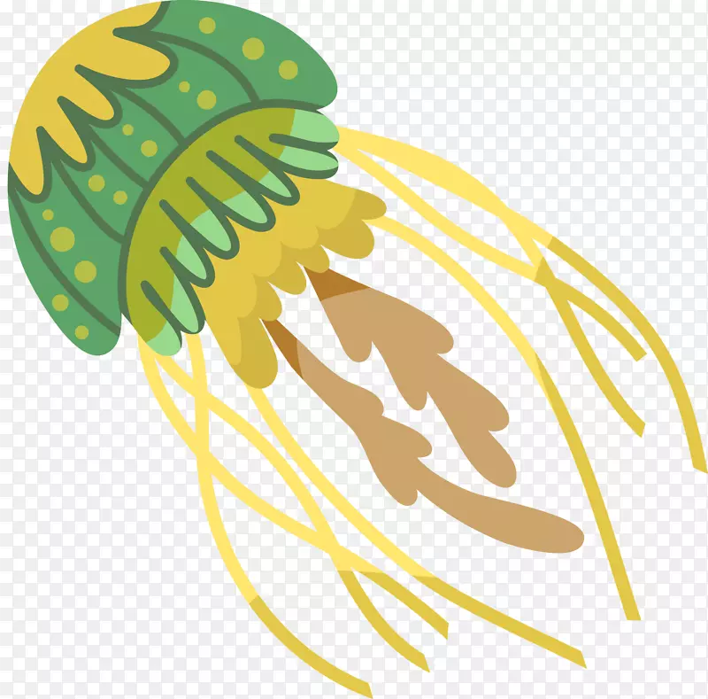 ��ͨ�ɰ�ˮĸ������ֽ-������