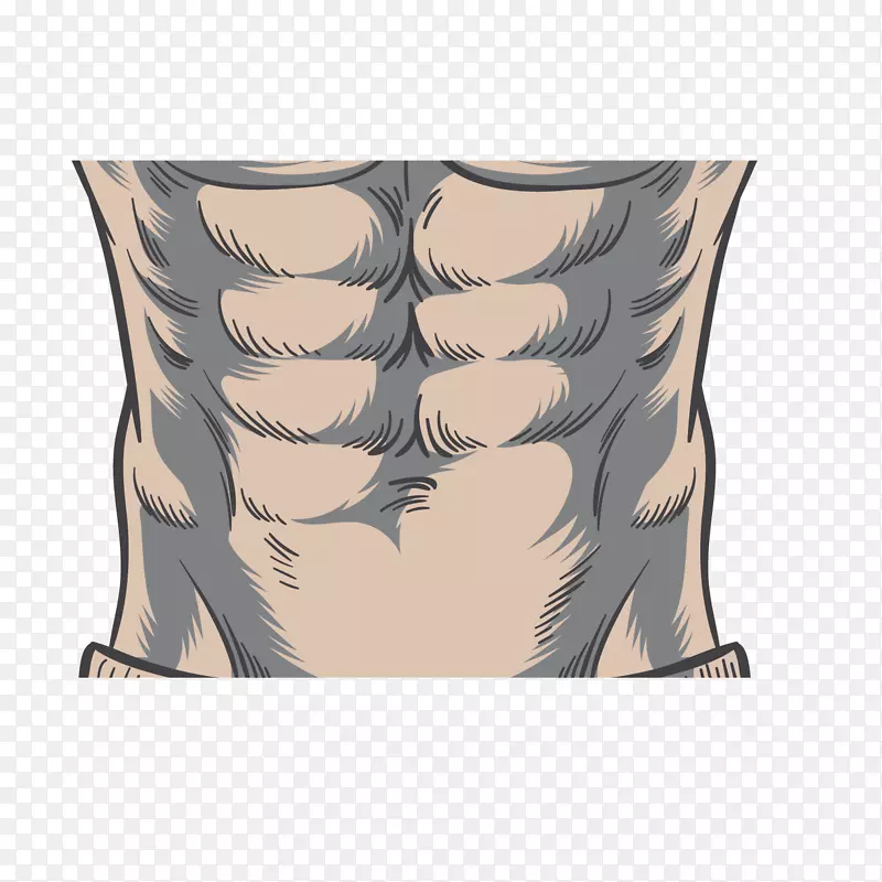 ��ͨ���帹������ز�-������