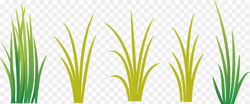 ·��С��һƬС��-������