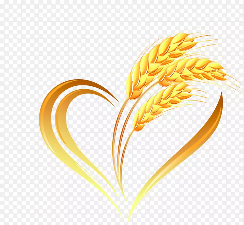 ����װ������ز�-������