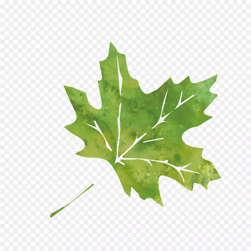 �ֻ��Ҷ����ز�-������