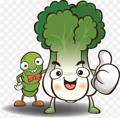 ˮ���߲˿�ͨ�ز�ͼƬ-������