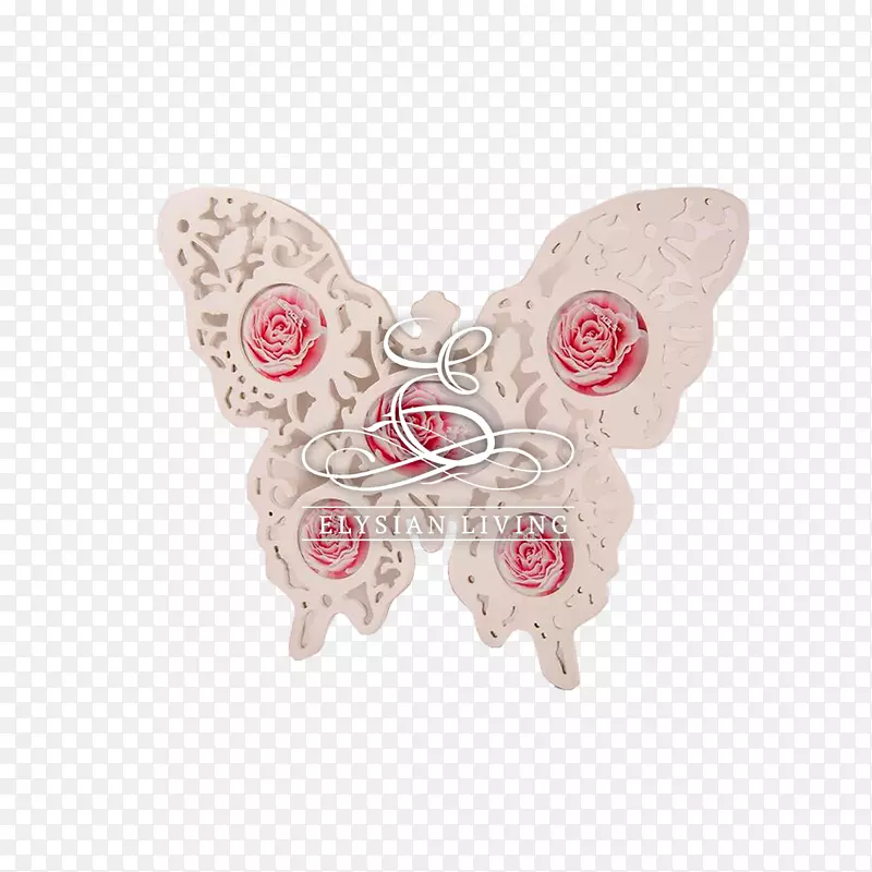 �������滭�򴫷�����������-������