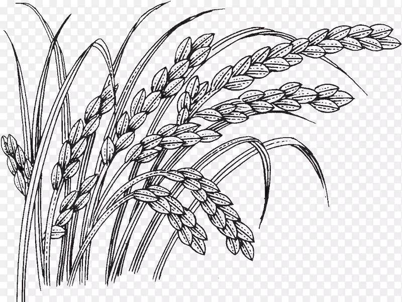 �ֻ浾��-������