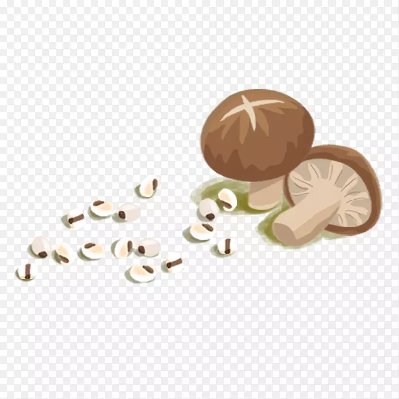 ��ͨ�ֻ��߲�װ�κ������-������