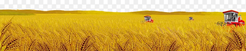 ũ�����ӵ�װ�β廭-������