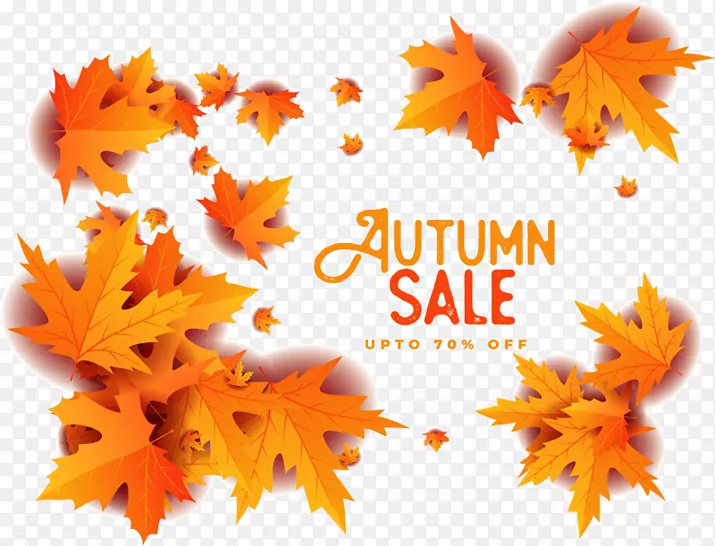 �����Ҷ��������-������