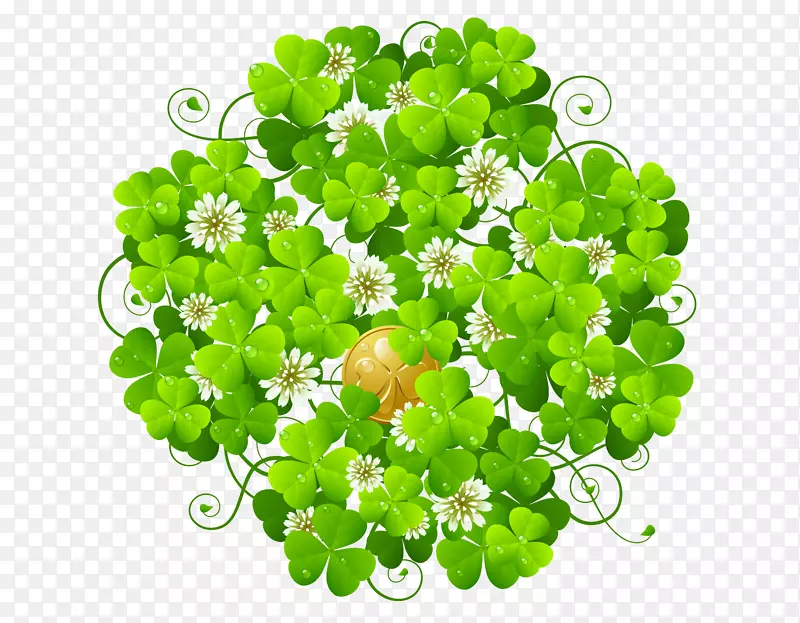 ��Ҷ�ݴ�ͼ�������-������