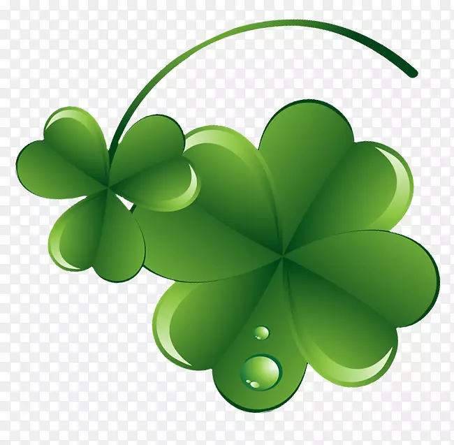 ���ڵ�ˮ����Ҷ��-������