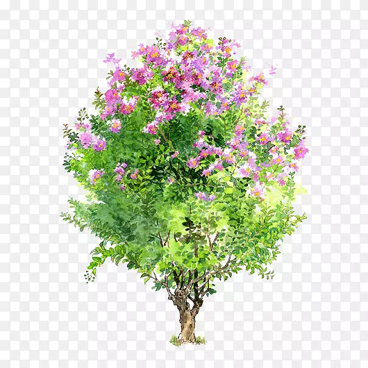 ��ɫ��ľ�ز��ֻ���ľ-������