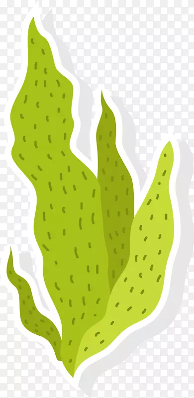 ������ɫ��ƽ��񺣲�-������