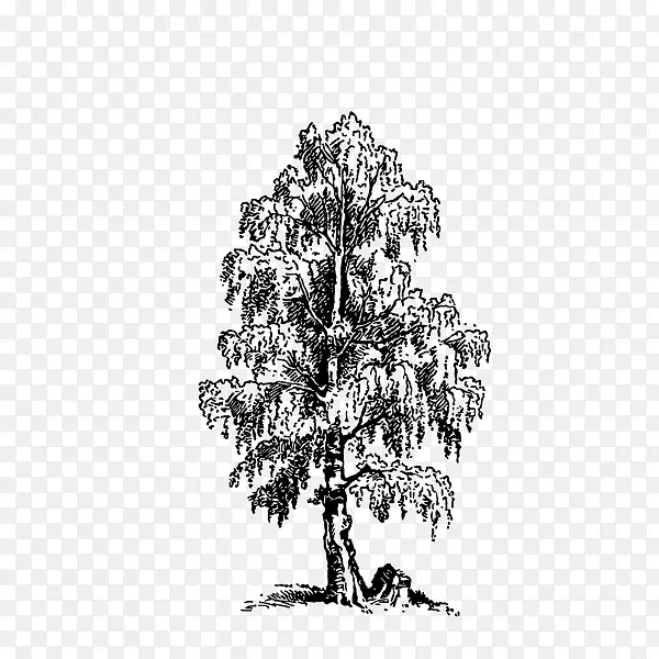 ��ͨ��Լ�ֻ���ľ������-������