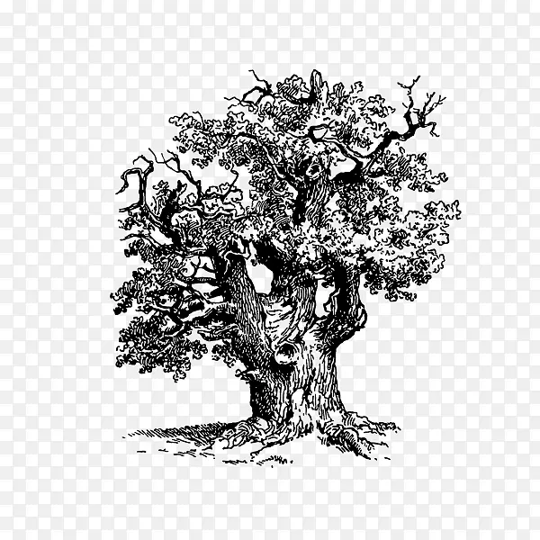 ��ͨ��Լ�ֻ���ľ������-������