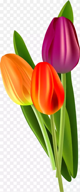 ��ů��������������-������