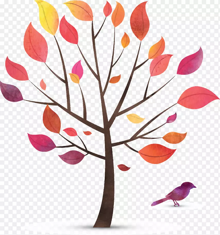 ��ɫ��-������