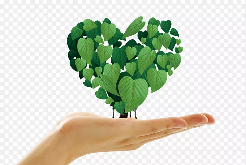 ���а�����Ҷ-������