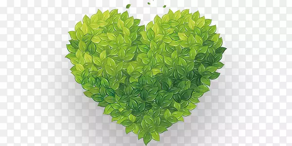 ��ɫС������Ҷ����װ��ͼ��-������