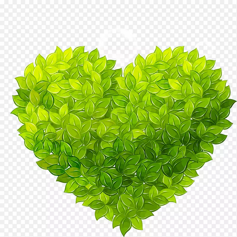 ��Ҷ����-������