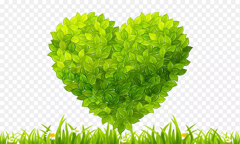 ������Ҷ-������