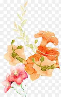 �ֻ��ɫ��ɫ����-������