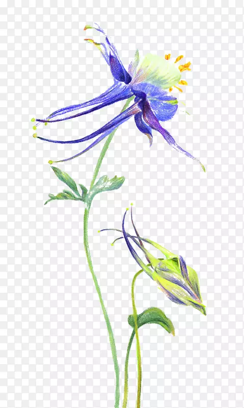 ����ݵ�����ͼƬ�ز�-������