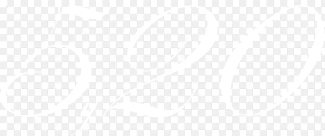 520�������˽ڰ�ɫ-������