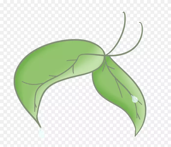 �������洫��Ҷ��Ҷ-������