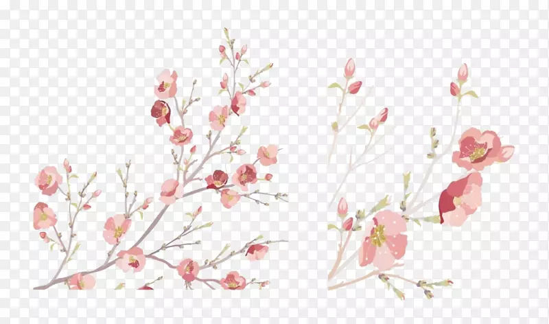 �ֻ��һ���֦ˮ�ʻ����-������